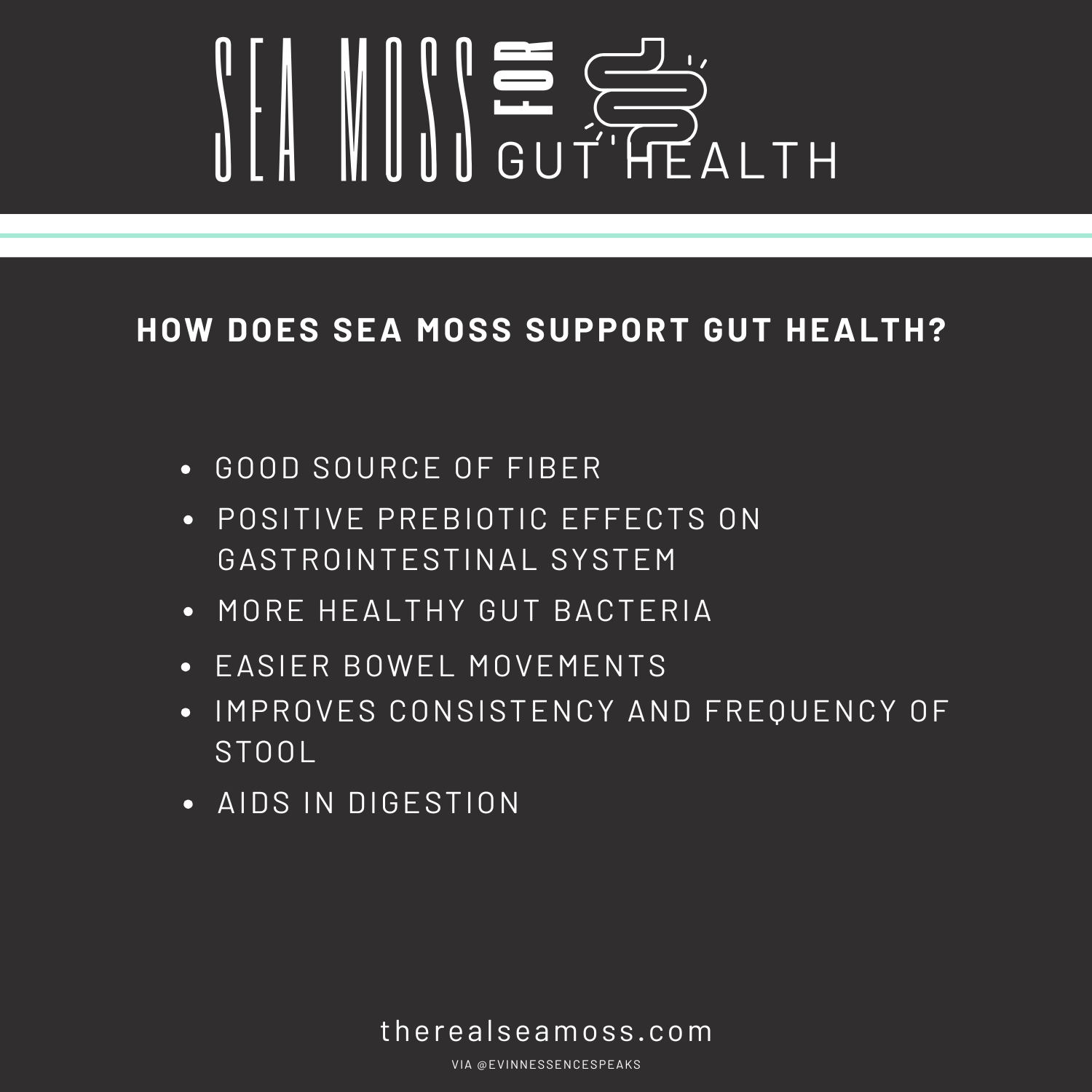 Sea Moss for Gut Health