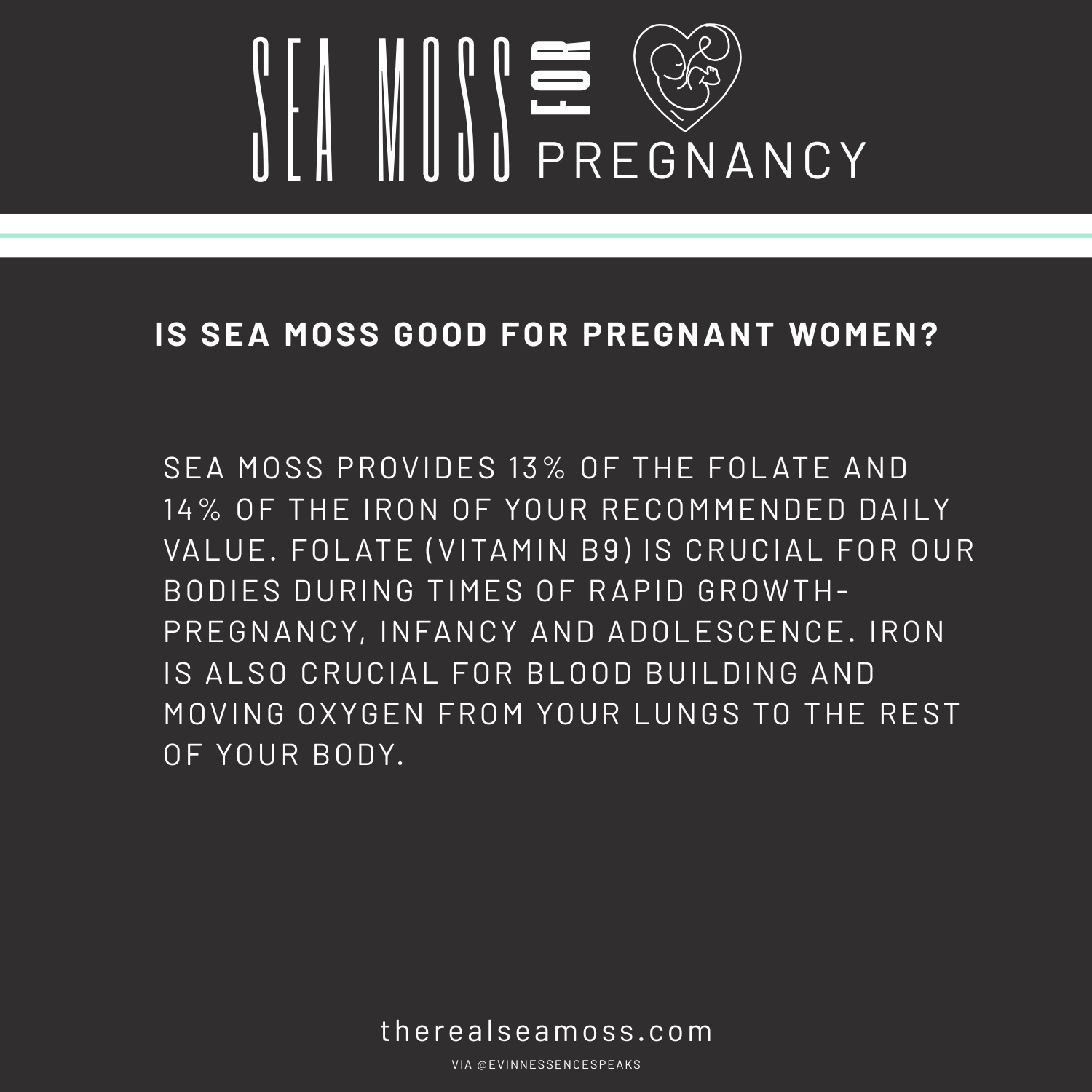 Sea Moss for Pregnancy