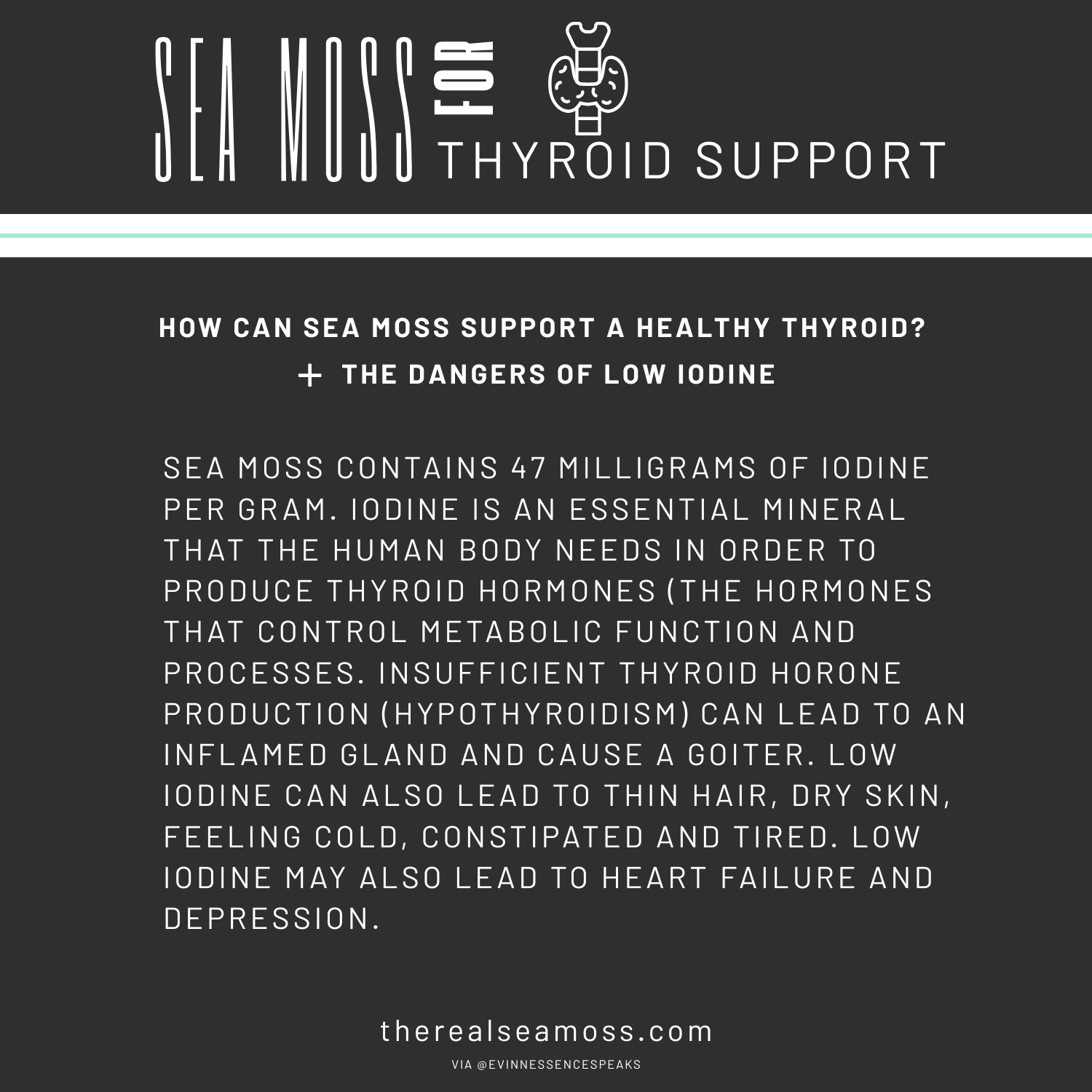 Sea Moss for Thyroids